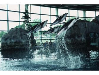 4 Tickets to the Museum of Science and Industry + 4 Tickets to the Shedd Aquarium