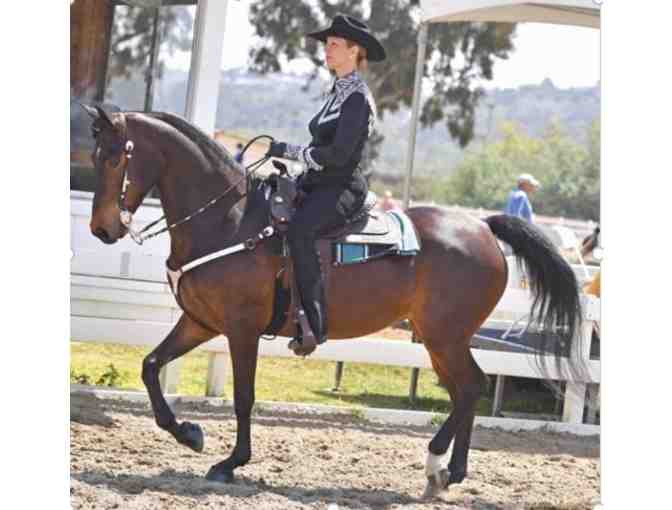 Rushton Stables LA (Lakeview Terrace) - Two (2) Private Horseback Riding Lessons