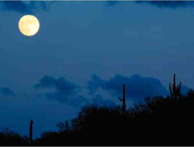 'Saguaro After Dark' Ranger-Guided Night Hike