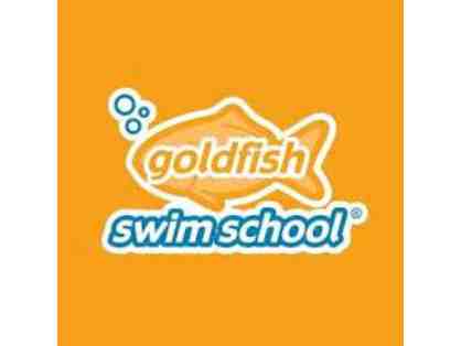 Goldfish Swim School/Roscoe Village - 2 Months of Swim Lessons and a 1 Year Membership