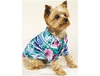 Designer Dog Clothes - 7 Outfits - Male - Small