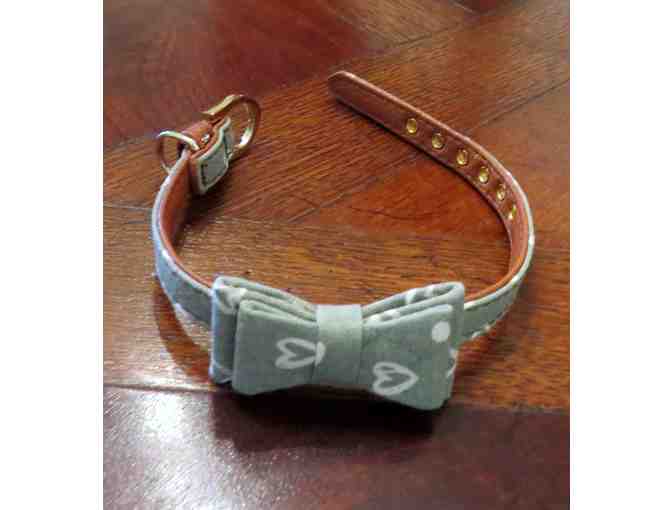 Designer Dog Collar - small