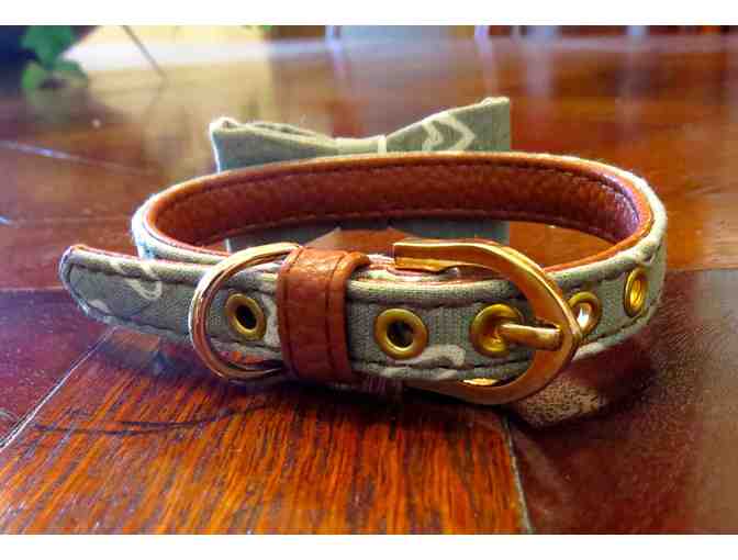 Designer Dog Collar - small