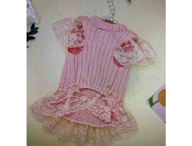 Elegant Pink Lace Dog Dress size M