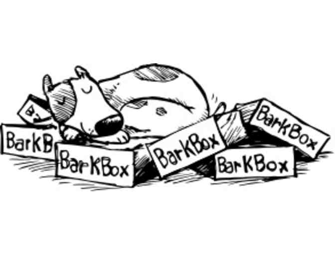 Bark Box 6 Month Subscription