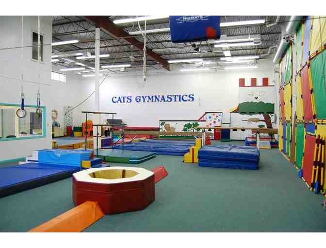 Cats Gymnastics - A $40 Gift Certificate