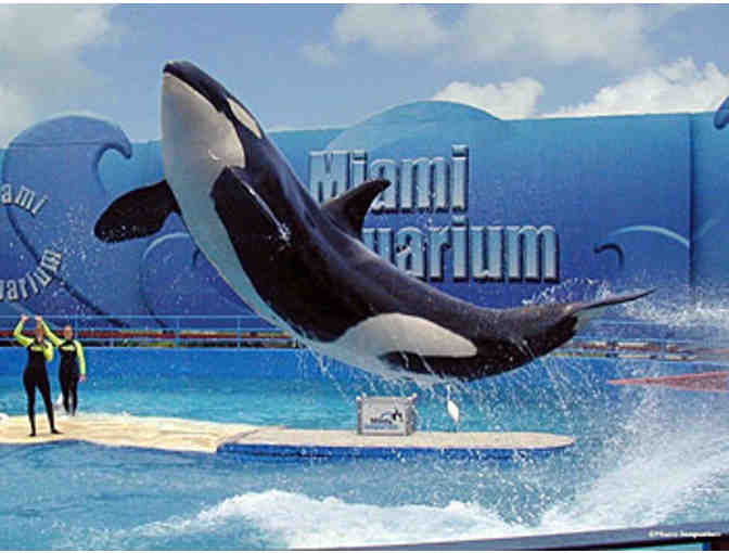 Miami Seaquarium - Four (4) Admission Tickets