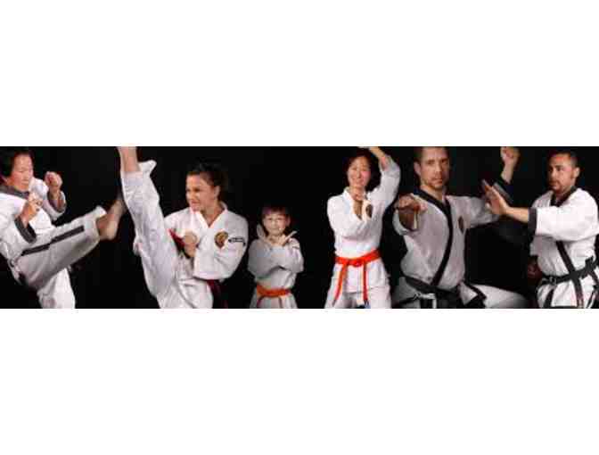 Tae Kwon Do lessons #4