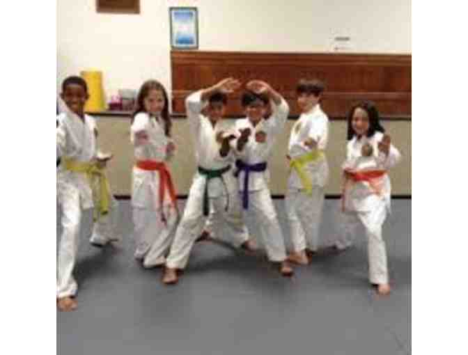 Tae Kwon Do lessons #5