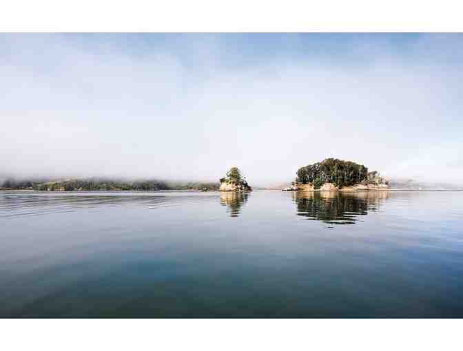 An Afternoon 'High Off the Hog' -- Kayaking & Oysters at Tomales Bay