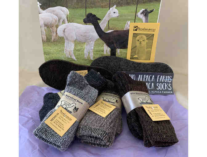 Family Pack of Alpaca Survival Socks donated by Pamelamas Alpaca Farm