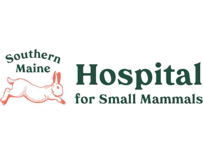 Physical Exam at Southern Maine Hospital for Small Mammals