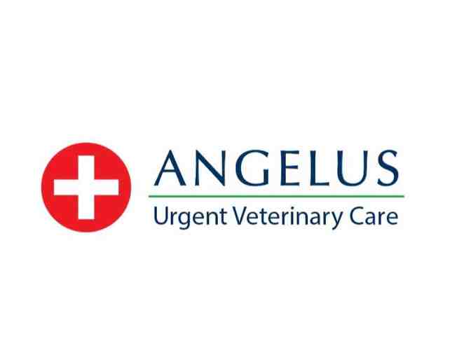 $150 Gift Certificate, Sea Bag and Gift Set courtesy of Angelus Urgent Veterinary Care