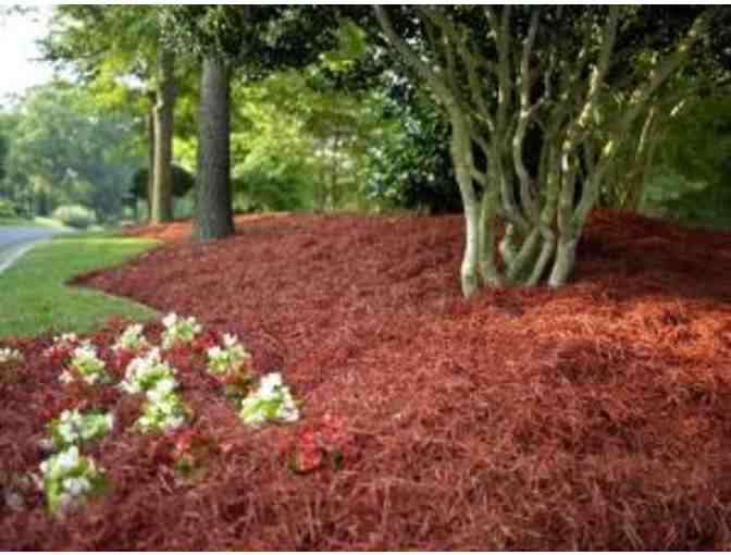 15 yards of Cypress Mulch - Photo 1