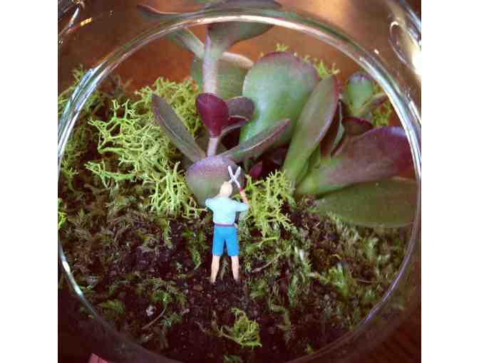 Henry the Hedge Trimmer Hanging Terrariums