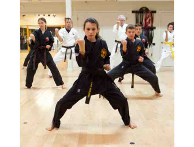Karate Lessons - Youth thru Adult