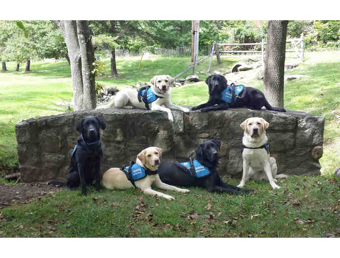 $250 Call for Support: Help our autism service dogs change lives