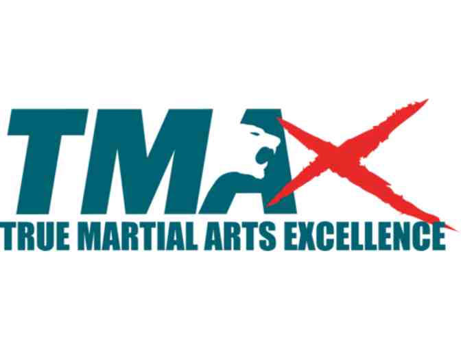 2 Hour Taekwondo Birthday Party @ TMAX (San Marino or Pasadena location)