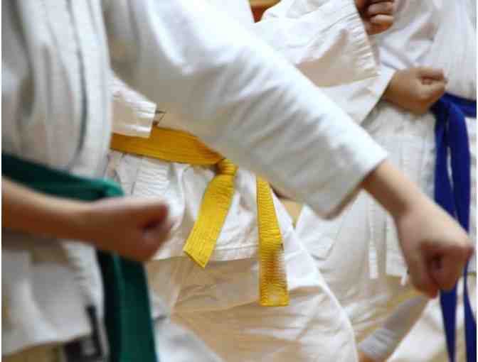 4 pack - 1-month of Karate Lessons with JKA Los Angeles