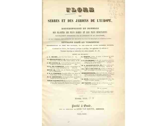 Framed Herb Print from page 132 of the Journal Flore des serres et des jardins de l'Europe