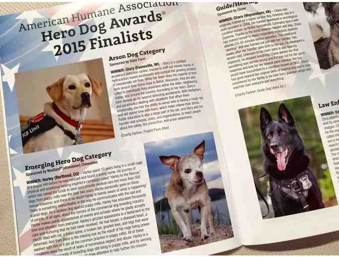 Hero Dog Awards Program with Harley!