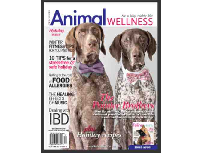 Harley Article - Animal Wellness Magazine
