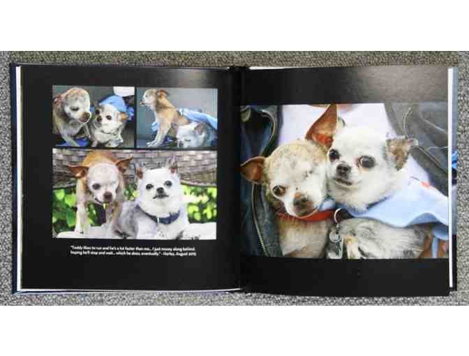 Harley & Teddy - Photo Book