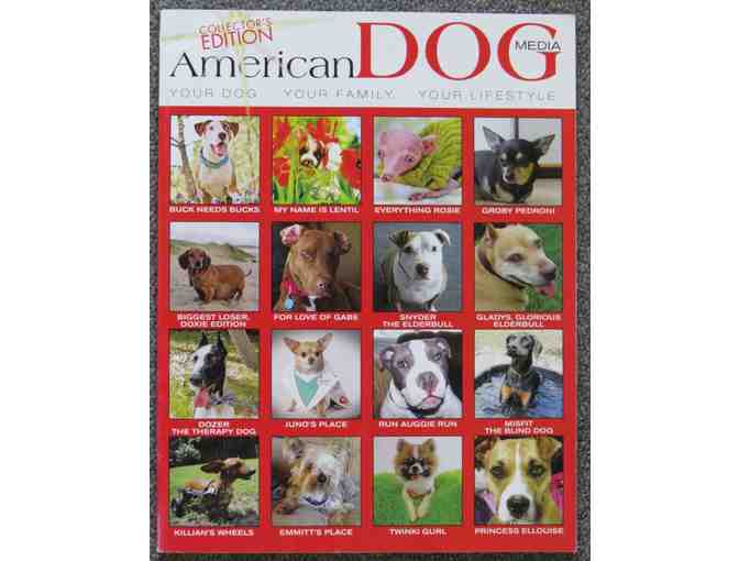 American Dog Magazine - Article about Harley