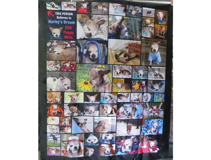 Harley Photo Collage Blanket 50' x 60'