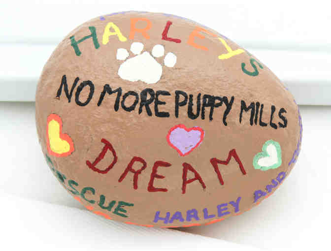 Painted Stone - 'Harley's Dream / No More Puppy Mills'