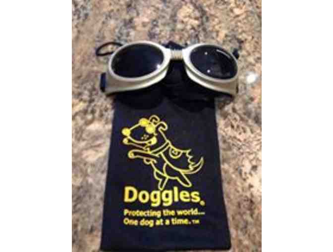 Doggles - Sunglasses for your dog!