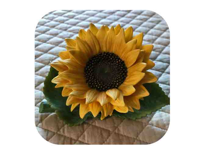 Sunflower - Lenox