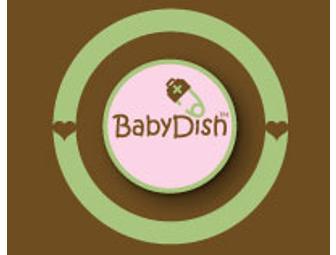 BabyDish BabyBeReady Diaper Bag Survival Kit loved by celebrities!