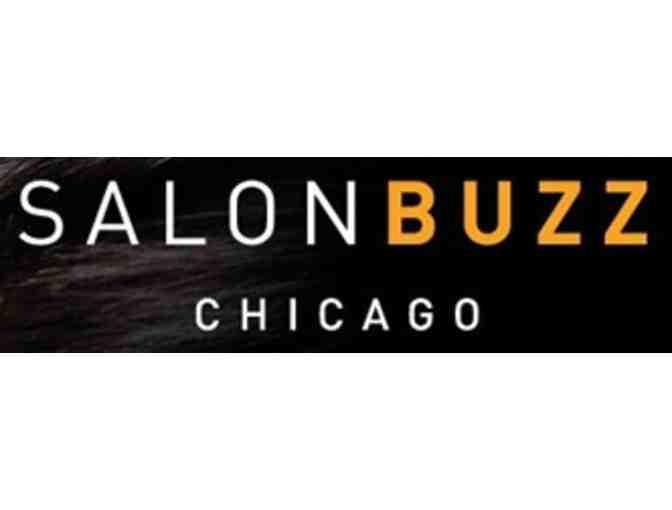 Consultation, Color, Cut, Blow Dry & Style at Salon Buzz River North + HHP Passport Wallet