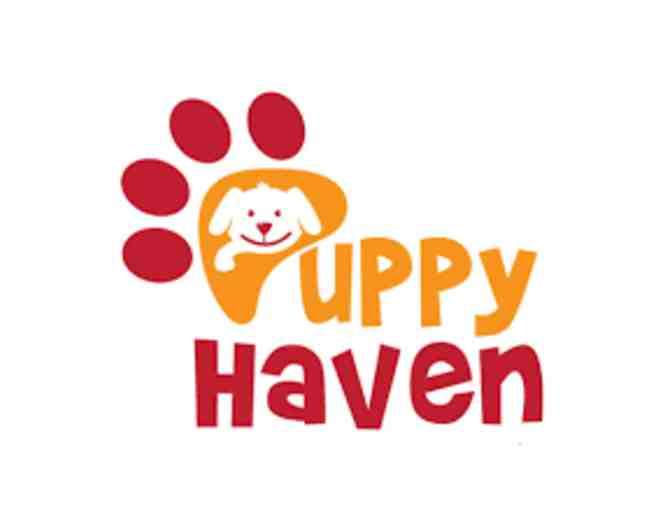 Pampered Pet-Puppy Haven and Savy Paws Pet Resort