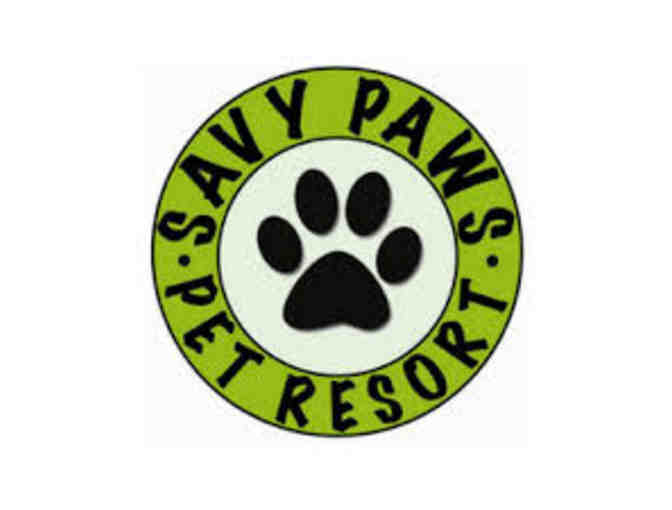 Pampered Pet-Puppy Haven and Savy Paws Pet Resort