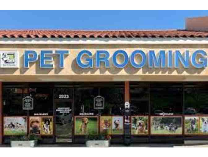 Lucky Dawg Grooming Salon - $100 certificate