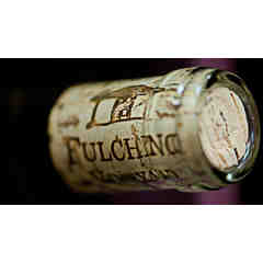 Fulchino Vineyard