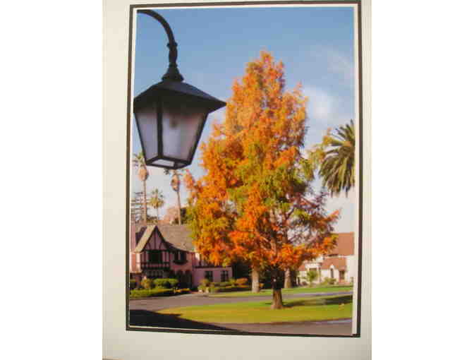 Specialty Cards of Autumn at Palmdale Estates