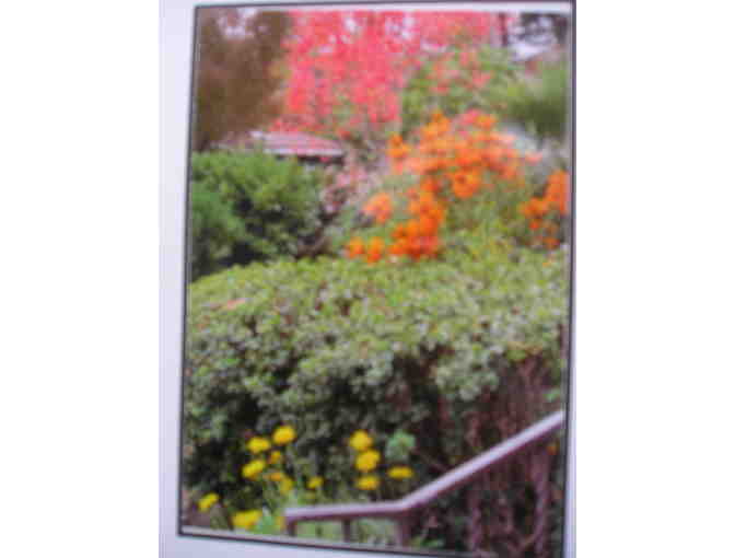 Specialty Cards of Autumn at Palmdale Estates