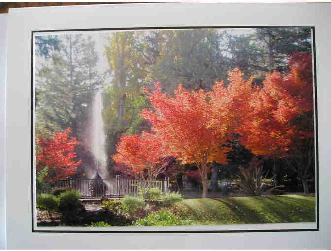 Specialty Cards of Autumn at Palmdale Estates