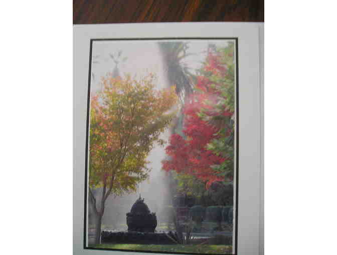 Specialty Cards of Autumn at Palmdale Estates
