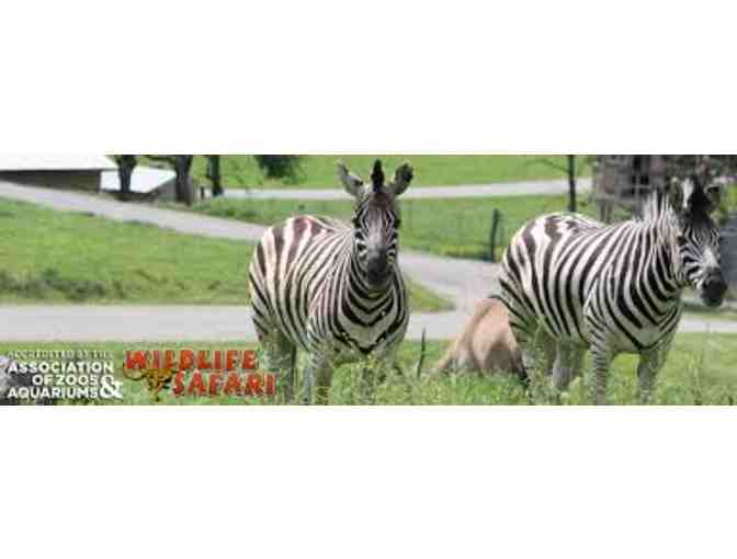 Four Passes to Wildlife Safari