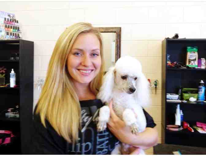 $100 in Grooming Services from Lucky Dog Pet Salon #2 - Photo 2