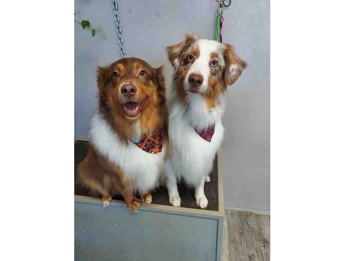 $25 Gift Certificate to The Grooming Pawlor - Photo 3