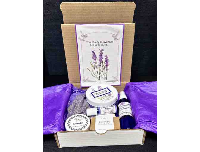 Lavender Gift Set from Lavender Lane Essentials - Photo 1