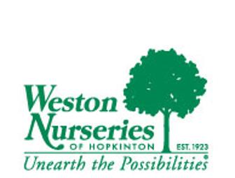 Curb Appeal Package & $100 GC for Weston Nurseries - Hopkinton, MA