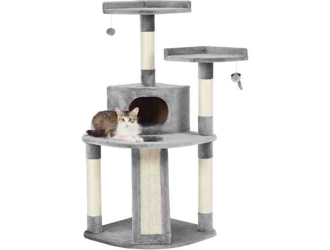 Couch Purr-tato Cat Basket with Cat Tree&Condo!