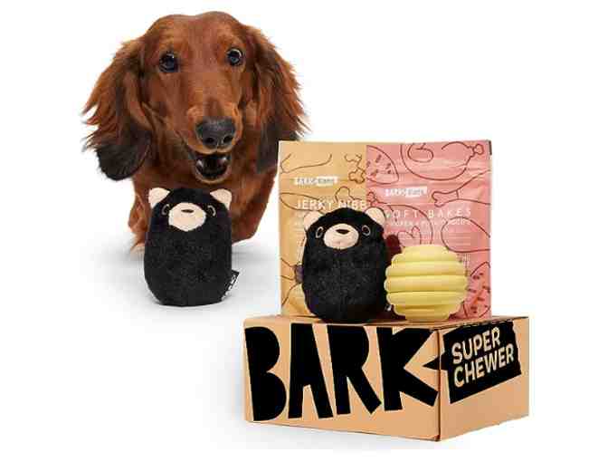 Barkbox (for dogs!)