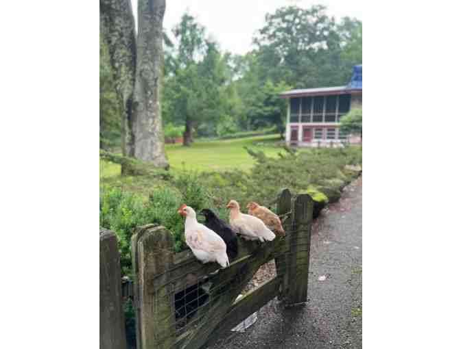 LIVE ITEM: Mingway Artland Weekend Retreat